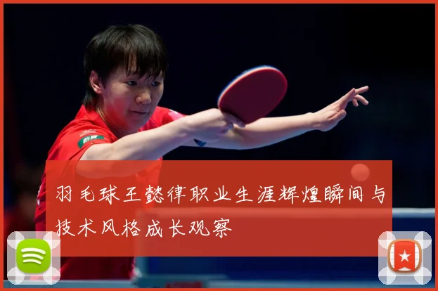 羽毛球王懿律职业生涯辉煌瞬间与技术风格成长观察