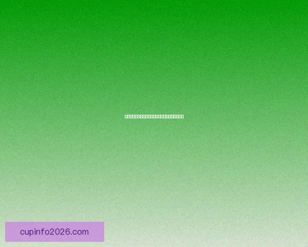 世界杯竞猜平台下载指南助你轻松参与实时赛事预测