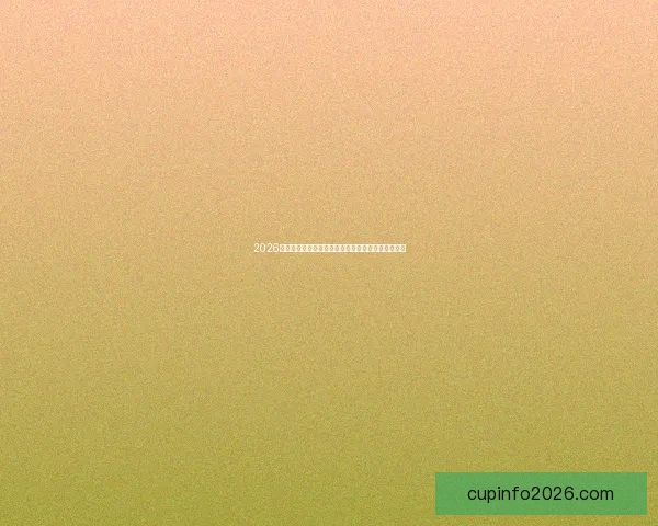 2026世界杯焦点对决全解析球星表现与赛场精彩瞬间盘点