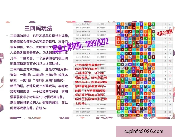 体育竞猜精准分析与赛事走势深度解读助你提升投注技巧与稳定盈利策略