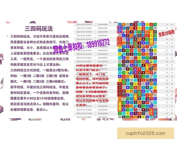 体育竞猜精准分析与赛事走势深度解读助你提升投注技巧与稳定盈利策略