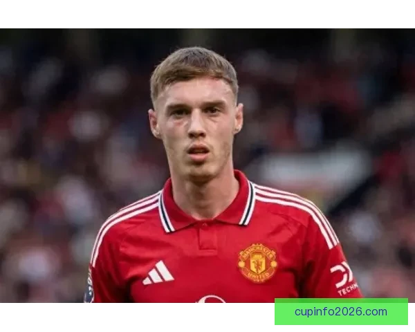 B费力荐接班人即使降级也要卖6000万仍比帕尔默便宜